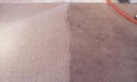 Carpet Bright UK - Woking image 15