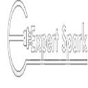 Expert Spark logo