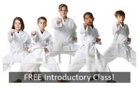 Karate Martial Arts Classes image 1