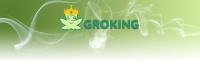 GroKing Seeds image 2