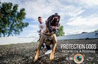Protection Dogs Worldwide image 1