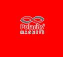 Polarity Magnets logo