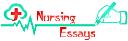 NursingEssays logo