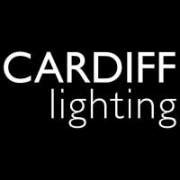 Cardiff Lighting - Bespoke Lighting Installations image 1