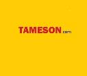 Tameson logo
