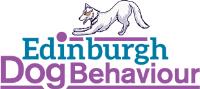 Edinburgh  Dog Behaviour image 2