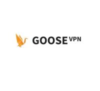 GOOSE VPN image 1