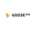 GOOSE VPN logo