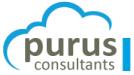 Purus Consultancy image 1
