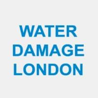Water Damage London image 1