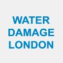 Water Damage London logo
