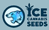 ICE Cannabis Seeds image 1