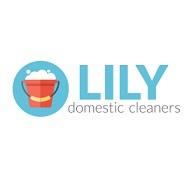 Lily Domestic Cleaners image 1