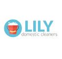 Lily Domestic Cleaners logo