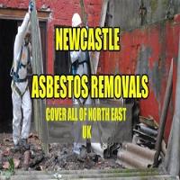 Newcastle Asbestos Removals Rd image 1