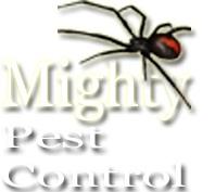 Mighty Pest Control Ltd image 5