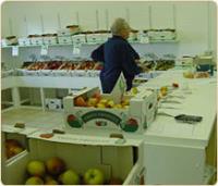 Tullens Fruit Farm in West Sussex,UK. image 2