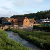 Tewin Bury Farm Hotel image 3