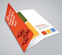 Online Cheap Printing Services - Printwin image 2