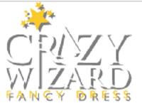 Crazy Wizard Fancy Dress image 1