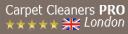 Carpet Cleaners Pro London logo