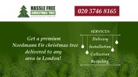 Hassle Free Christmas Tree image 2