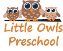 Little Owls Preschool logo
