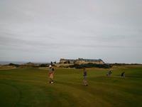 The Social Golfer image 3