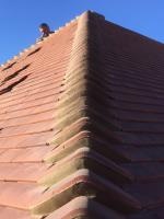 Alpha Roofing Services image 6
