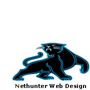 Nethunter Web Design image 1
