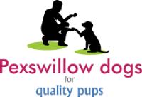Pexswillow Dogs image 1