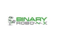 BinaryRobo-X image 1