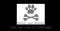 Pawz and Bonez image 1