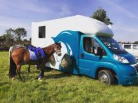 Essex Horse Transport image 2