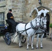 Acorn Carriage Hire image 1