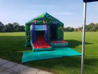 DM Inflatables & Party Services  image 5