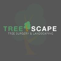 Treescape image 1