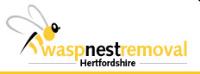 Wasp Nest Removal Hertfordshire image 3