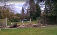Bark and Branch Tree Surgeon Manchester image 5