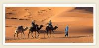Sahara desert tour image 2