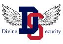 Divine Security logo