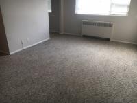 Hi carpetcleaning image 3