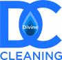 Divine cleaning logo
