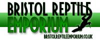 Bristol Reptile Emporium Ltd image 1