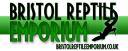 Bristol Reptile Emporium Ltd logo