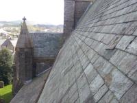 Cs roofing and builders LTD image 1