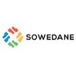 Web Design Agency London - SOWEDANE image 1