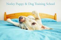 Notley Puppy and Dog Training School image 1