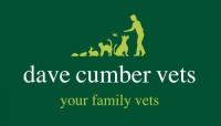 Dave Cumber Vets image 1