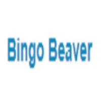 Bingo Beaver image 1